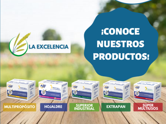 Adiplus