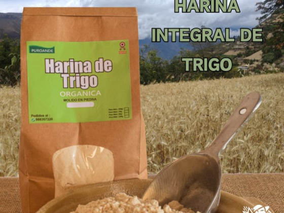 Harinas & Granos del Norte