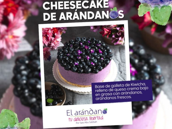 El Arándano