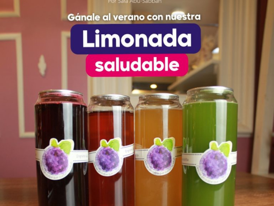 El Arándano