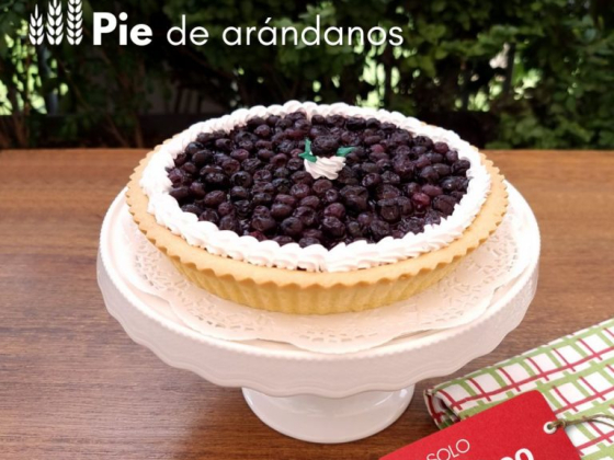 Pastipan