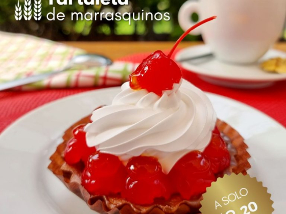 Pastipan