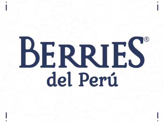Berries del Perú