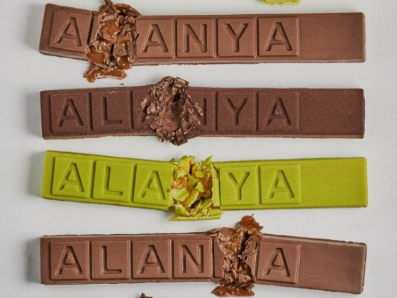 Alanya Repostería