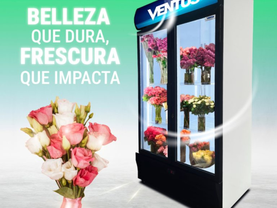 Corporación AGSA