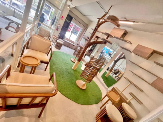 Gatú Cat Café