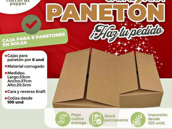 Cajas Corrugadas para 6 Panetones en Bolsa