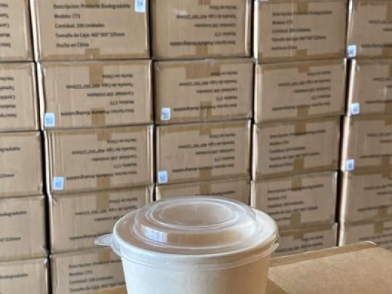 Envases de Bambú con Tapa PET – 330 mL