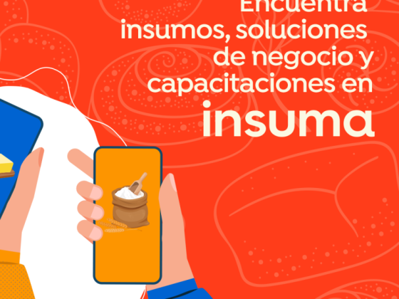 Insuma